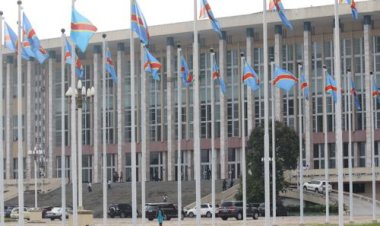 Cour Constitutionnelle : d'élu à invalidé puis à réhabilité, Bahati revient Modero Nsimba tombe, un ping-pong de déshonneur