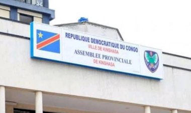 Election des gouverneurs et sénateurs : les candidats à l'assaut de grands électeurs