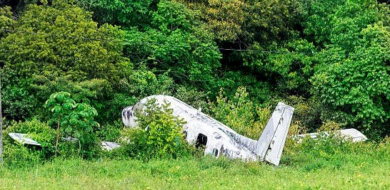 Ituri : Un arbre entrave l'atterrissage d'un avion à Mahagi