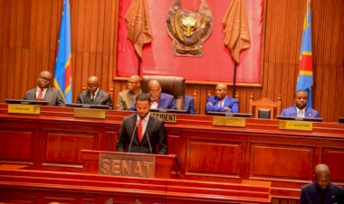 Sénat : une commission nécessaire pour l'élaboration du règlement intérieur
