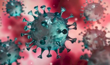 Alerte, la RDC aux aguets à ses frontières suite à la résurgence du COVID-19