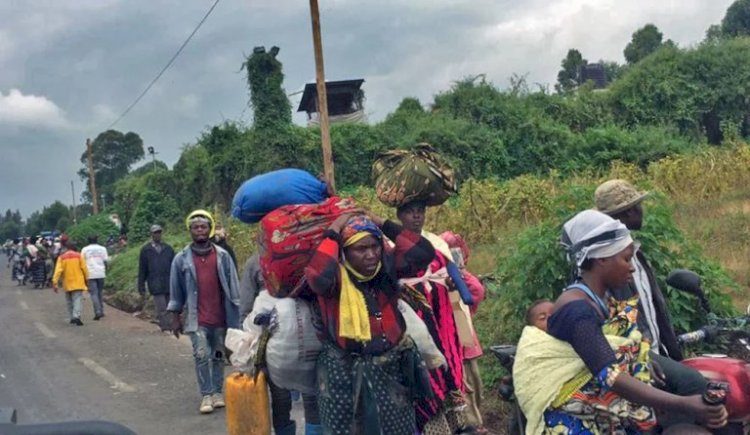 Ituri : près de la moitié de la population est déplacée