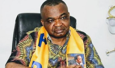 L’UDPS est en panne de formule pour changer la constitution (Ferdinand Kambere SPA PPRD)