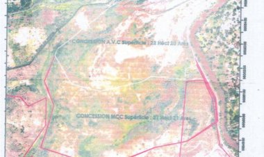 Conflits fonciers à Kinshasa : Désiré Muzimanina poursuivi pour usage de faux