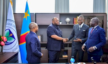 Kinshasa : des émissaires du maire de Brazzaville reçus par le gouverneur Daniel Bumba