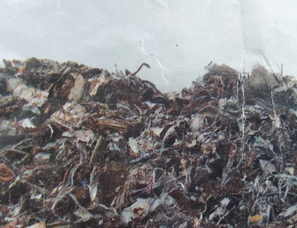 Lutte contre la pollution par le recyclage des matières plastiques : Jeanette Maswaka sensibilise les femmes