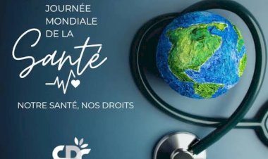 J.M de la santé : L’OMS alerte sur la mortalité maternelle et néonatale