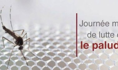 Lutte contre le paludisme: voici les stratégies utilisées par la RDC pour combattre cette pathologie dangereuse